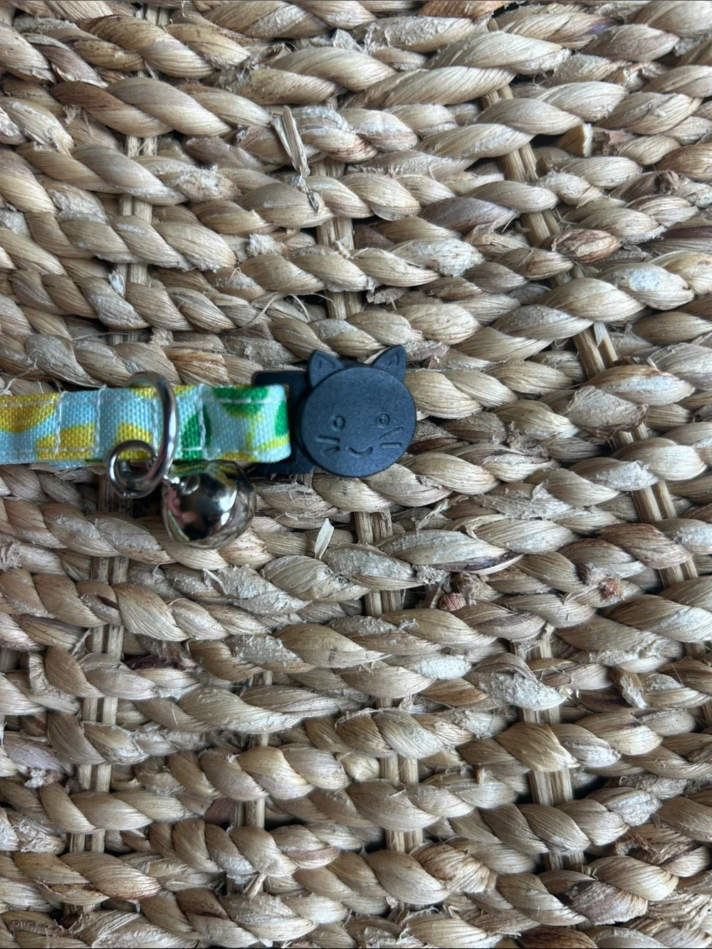 Cat Collar with bow.